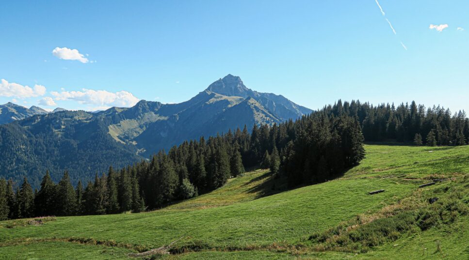 Mont de Grange pays d'Evian-vallée d'Abondance